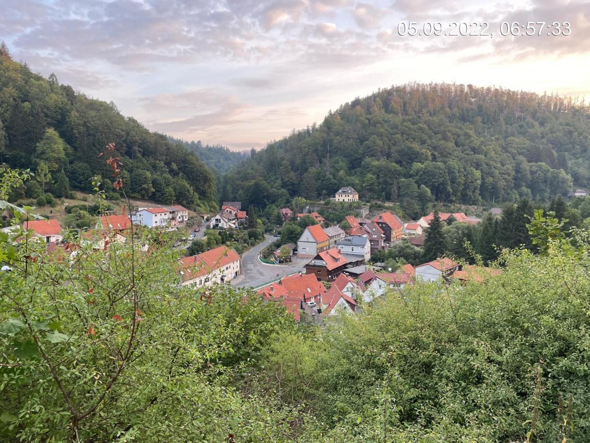 Ferienhaus Zorgenfrei Walkenried Dış mekan fotoğraf